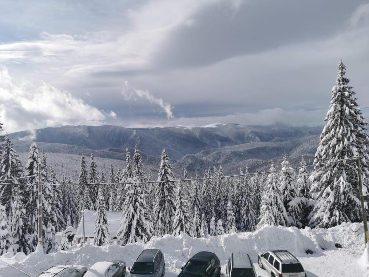 Pensiunea Alpin Ранка Екстериор снимка