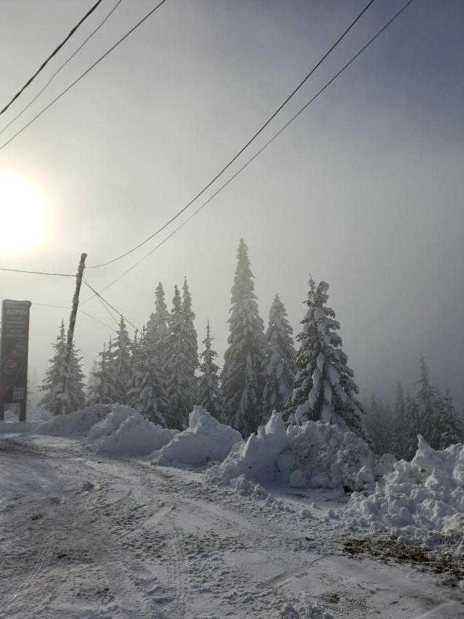 Pensiunea Alpin Ранка Екстериор снимка