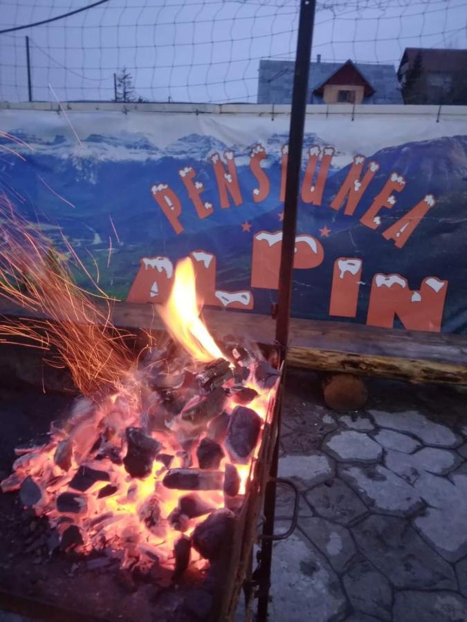 Pensiunea Alpin Ранка Екстериор снимка
